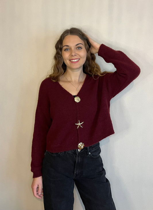 Gilet bordeaux en alpaga a broches dorées