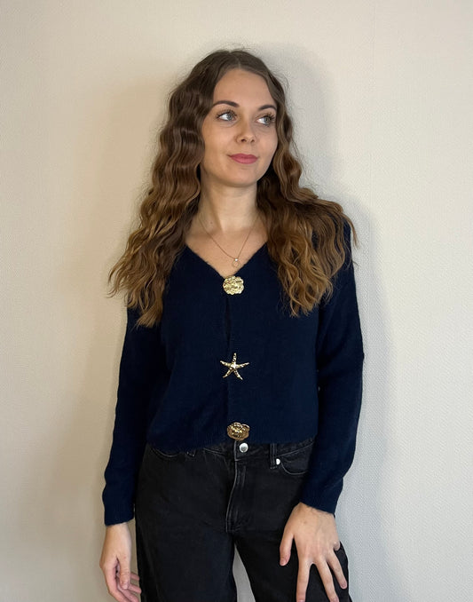 Gilet bleu marine en alpaga a broches dorées